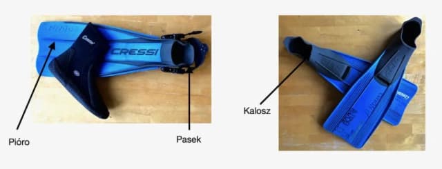 Jakie płetwy do nauki pływania pomogą Ci uniknąć frustracji? Jakie płetwy do nauki pływania pomogą Ci uniknąć frustracji?